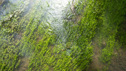 Fluss mit Trinkwasserqualität