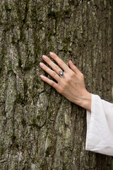 Girl's hand touches the tree in the forest.