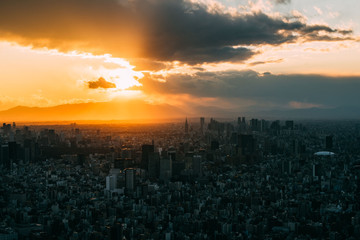 Fototapeta premium Tokyo Sunset