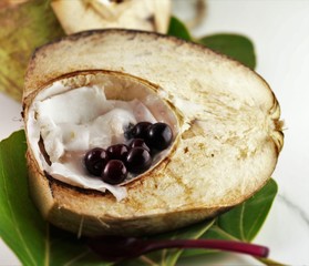 Tender Coconut 