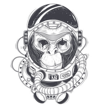Vector hand drawn illustration of a monkey astronaut, chimpanzee in a space suit in the style of engraving. Print for T-shirts, template, sketch tattoo, design element