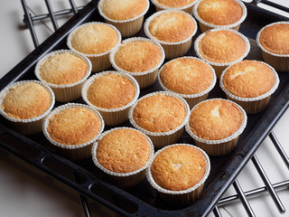 Baking set of cupcackes