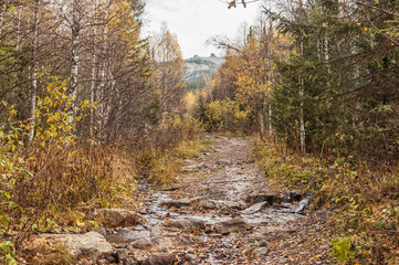 Ural mountains, a mountain valley. landscape boundless taiga and mountains. road in the forest mountain road in the Urals, the trail