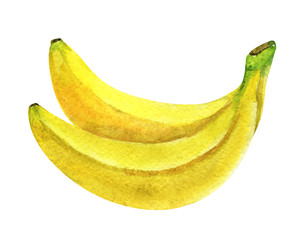 Bananas isolated on a white background, watercolor illustration