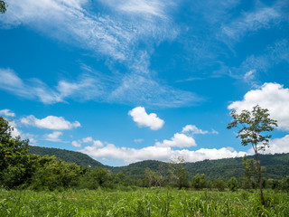 countryside field with mountain and cloudy sky