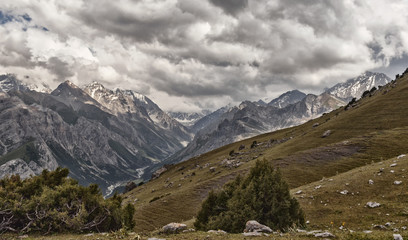 Fototapeta na wymiar Mountain landscape, Kyrgyzstan, a mountainous valley
