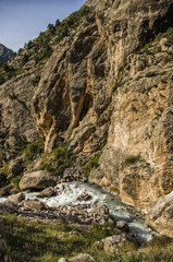 stormy mountain river in the mountains landscape with mountains, river, flowing waves in the foreground