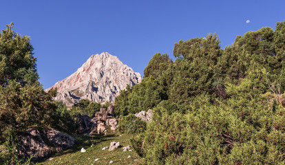 mountain landscape, a clear day, the sky on the moon. around the mountains, trees, greenery