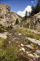 Altai. Mountain landscape. Small mountain river, rocks, stones. The photo was taken in the campaign in the Altai region on Chuysk. Sunny weather. Russia. Green valley with grass and shrubs.