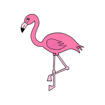 Cute pink flamingo bird vector illustration cartoon drawing.