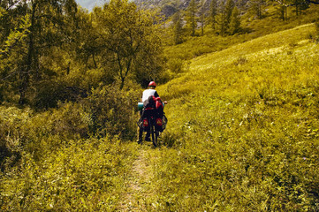 Obraz premium Biking on the Altai Republic. Beautiful mountain scenery, forest, green, mountains. A man on a bicycle with a backpack on a slope, trail, mountain road. Sprtivny campaign. Russia. Tourism.