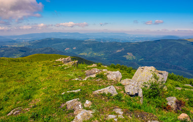 meadow with boulders in Carpathian mountains in summer