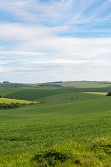 Sussex Landscape