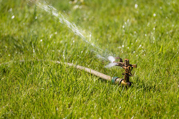 Fresh grass lawn in the garden and spray equipment for watering the garden