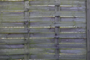 fond wall wood 004