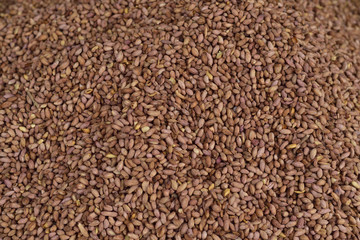 Peanut in a famous local bazaar in Gaziantep, Turkey.