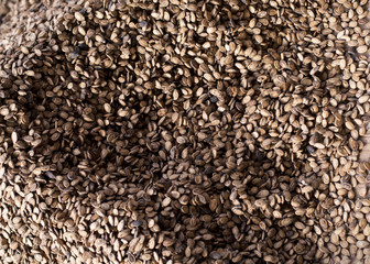 Word's best pistachios in a local bazaar in Gaziantep, Turkey.