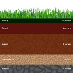 Seamless named soil layers with green grass on top. The stratum of organic, minerals, sand, clay, silt, parent rock and unweathered parent material. - obrazy, fototapety, plakaty