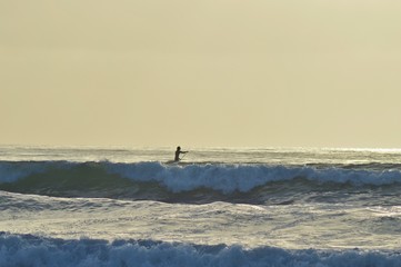 surfing