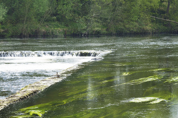 Stagnant river water