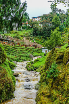 Mangde Chhu (Tongsa River) near a Dzong in Bumthang, Bhutan.