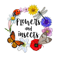 Round frame, wreath of summer insects and flowers with place for text, sketch vector illustration isolated on white background. Hand drawn summer flowers, butterfly, moth, dragonfly as round frame