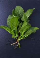 Fresh spinach with roots on  the black slate board, top view