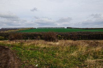 Fototapeta na wymiar Spring landscape with fields and trees