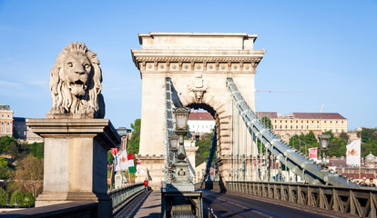 Fototapeta premium BUDAPEST, HUNGARY - 2017 MAY 19th: lion statue at the beginning of the Chain Bridge