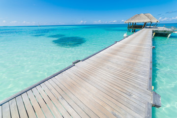 Perfect beach view. Summer holiday and vacation design. Inspirational tropical beach, palm trees and white sand. Tranquil scenery, relaxing beach, tropical landscape design. Moody landscape
