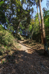 冬の本佐倉城の風景