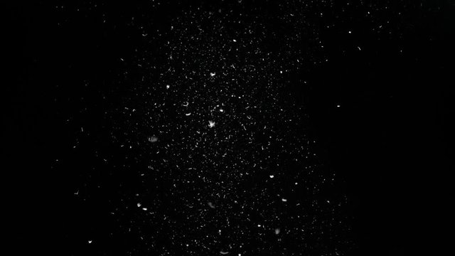 Coarse feather elements flung in the air then settle against black background
