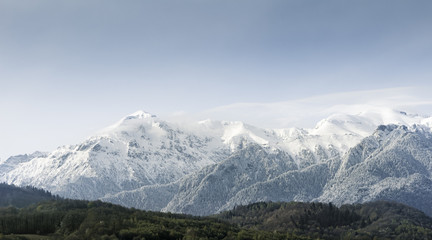 Mountain range with pine trees and snow