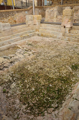Roman baths in Spain, Caldes de Malavella