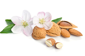 Naklejka na ściany i meble Paradise flower with almond nuts isolated on white background