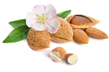 Paradise flower with almond nuts isolated on white background