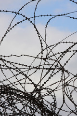 Barbed wire on the border of Israel with Syria

