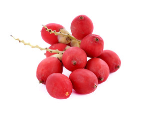 Red betel palm  isolated on white background