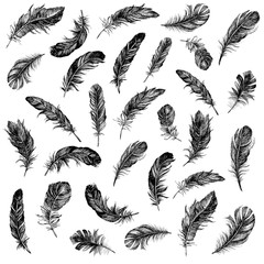 Feather Pattern