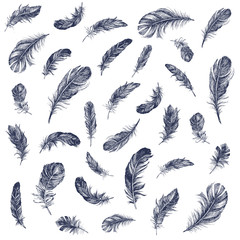 Feather Pattern