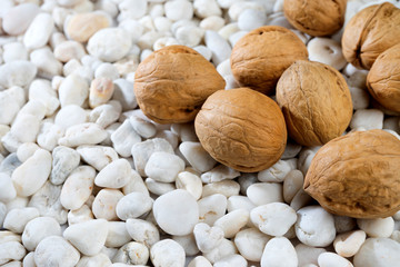 walnut on white stone