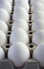 White chicken eggs wrapped in burlap next to a basket on a wooden table