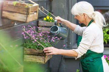 Woman working in florist shop
