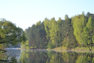 Fototapeta na wymiar Forest is reflected in the calm blue water of the forest lake.