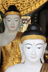 Fototapeta na wymiar Myanmar Rangún Buddha