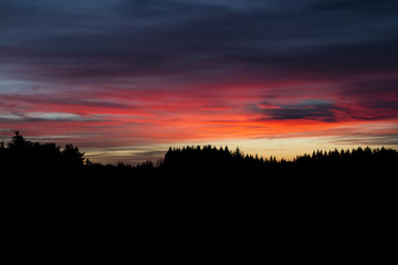 Schlafende Waldgöttin