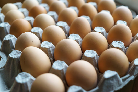 Raw chicken eggs in egg box