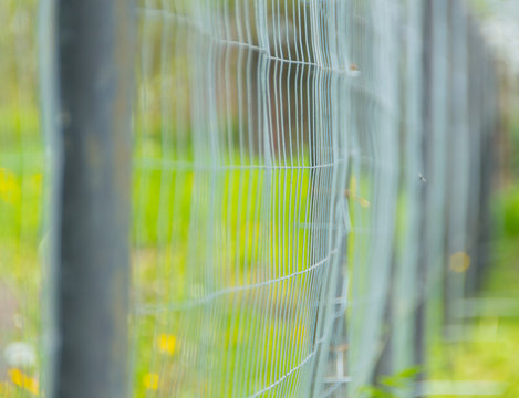 closeup of a fence made of metal pipes and steel mesh fencing.