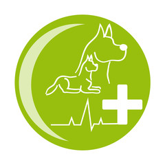 Dog health icon on white background