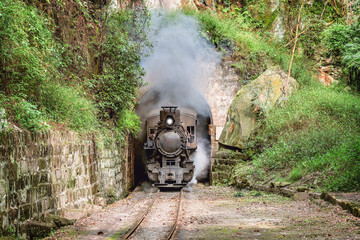 Steam narrow-gauge train.
